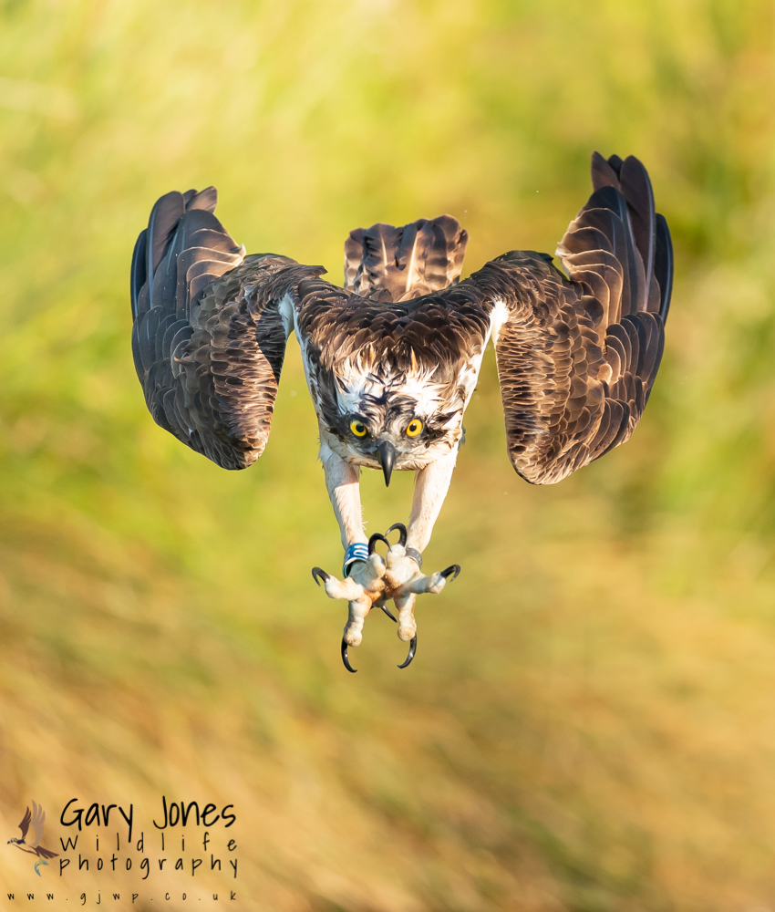 to River Gwash Trout Farm River Gwash Trout Farm